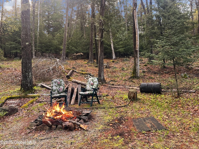 170 E Shore Dr, Horicon, NY 12808 - photo 5