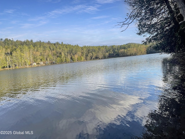170 E Shore Dr, Horicon, NY 12808 - photo 29