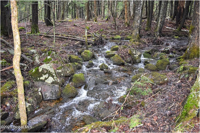 view of wooded area
