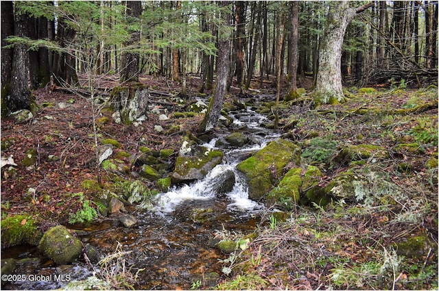 view of wooded area