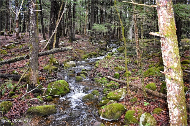 view of wooded area