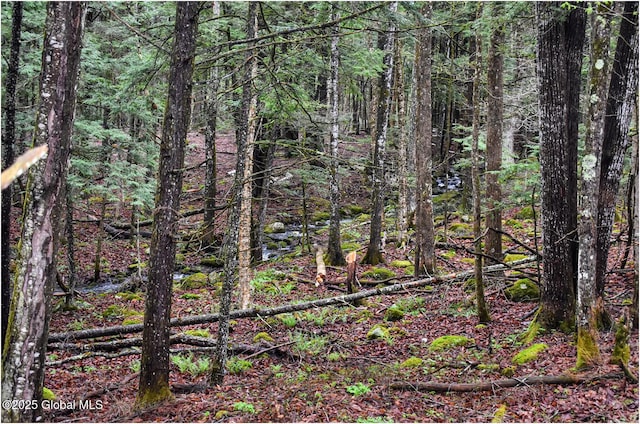 view of tree filled area