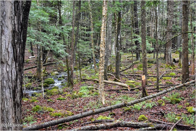 view of tree filled area