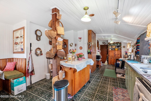 12098 Duanesburg Rd, Duanesburg, NY 12053 - kitchen featuring dishwasher, wood walls, a sink, light countertops, and dark flooring
