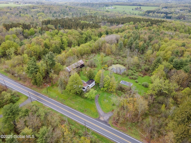 12098 Duanesburg Rd, Duanesburg, NY 12053 - view of property location with a heavily wooded area