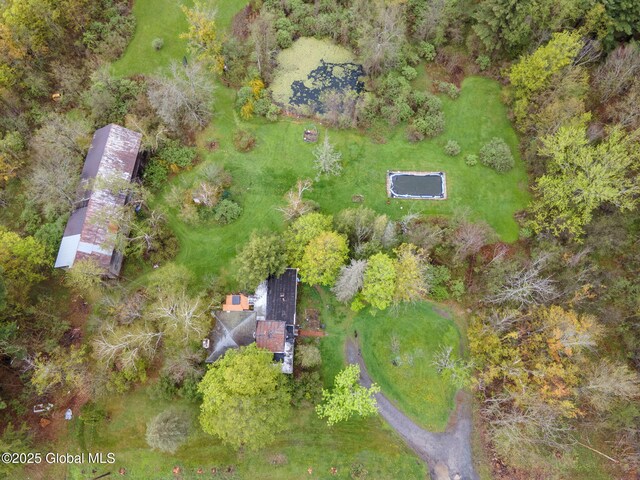 12098 Duanesburg Rd, Duanesburg, NY 12053 - aerial view