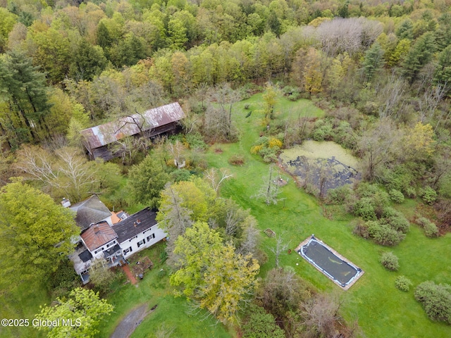 12098 Duanesburg Rd, Duanesburg, NY 12053 - aerial view of property and surrounding area featuring a forest