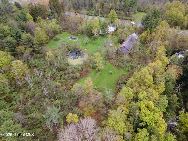 12098 Duanesburg Rd, Duanesburg, NY 12053 - drone / aerial view of a forest