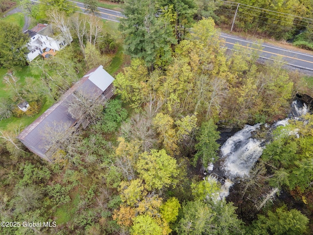 12098 Duanesburg Rd, Duanesburg, NY 12053 - drone / aerial view