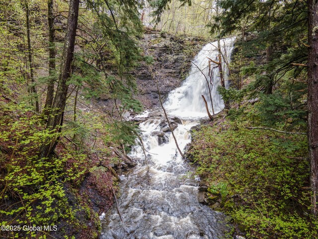 12098 Duanesburg Rd, Duanesburg, NY 12053 - water view with a forest