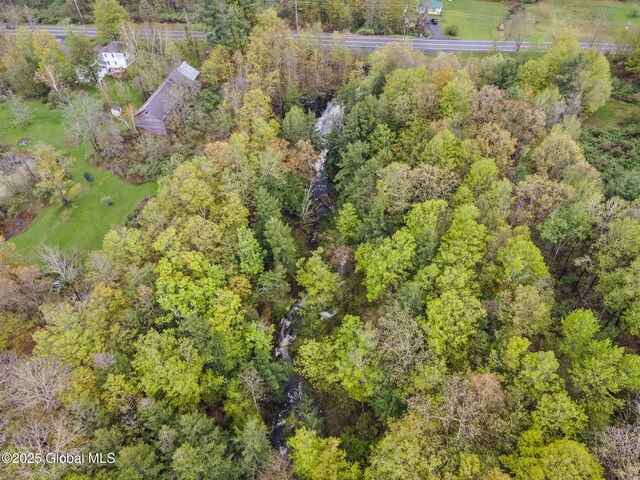 12098 Duanesburg Rd, Duanesburg, NY 12053 - bird's eye view