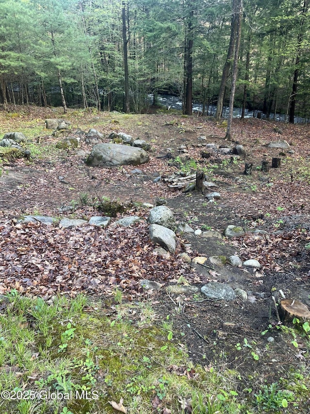 434 Old Stage Rd, Lake Luzerne, NY 12846 - view of tree filled area