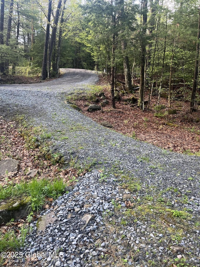434 Old Stage Rd, Lake Luzerne, NY 12846 - view of street with a wooded view
