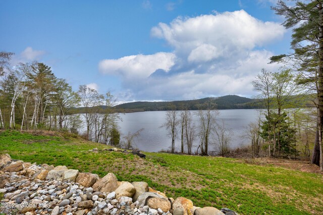 38 Whitney Ave, Schroon Lake, NY 12870 - photo 5