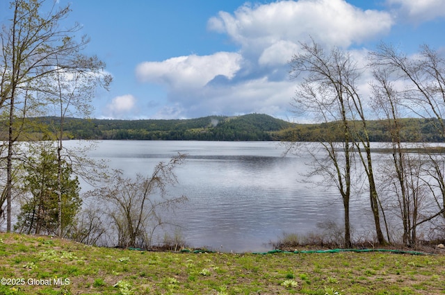 38 Whitney Ave, Schroon Lake, NY 12870 - photo 12