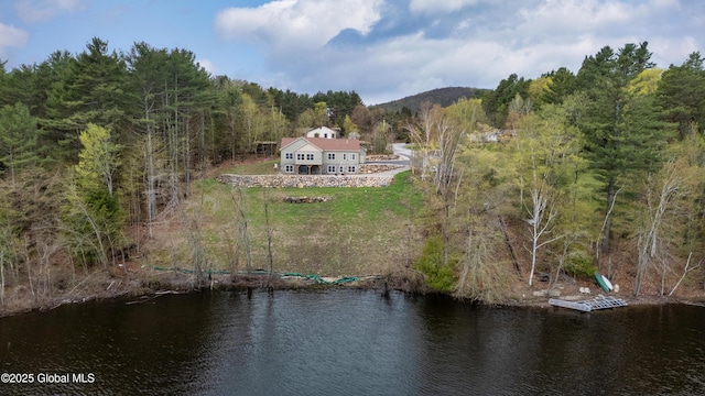 38 Whitney Ave, Schroon Lake, NY 12870 - photo 14