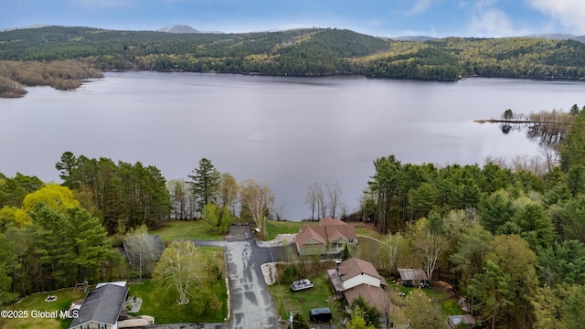 38 Whitney Ave, Schroon Lake, NY 12870 - photo 15