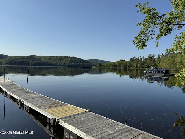 38 Whitney Ave, Schroon Lake, NY 12870 - photo 52
