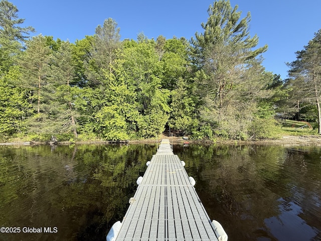 38 Whitney Ave, Schroon Lake, NY 12870 - photo 53