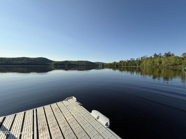 38 Whitney Ave, Schroon Lake, NY 12870 - photo 11