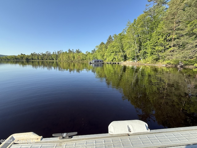 38 Whitney Ave, Schroon Lake, NY 12870 - photo 54