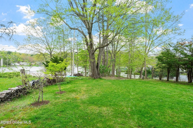 view of green lawn