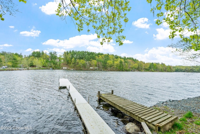 dock featuring a water view and a wooded view