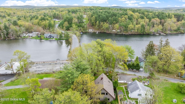 aerial view of residential area featuring a heavily wooded area and a large body of water