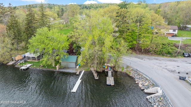 drone / aerial view of a large body of water and a forest