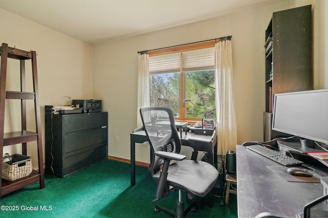office area featuring carpet