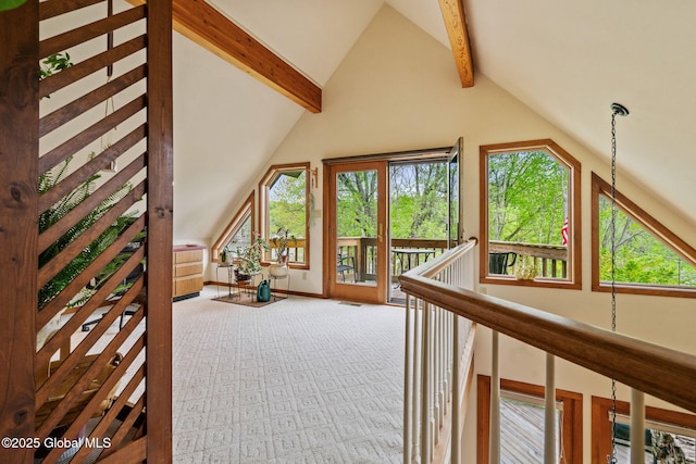additional living space with carpet flooring