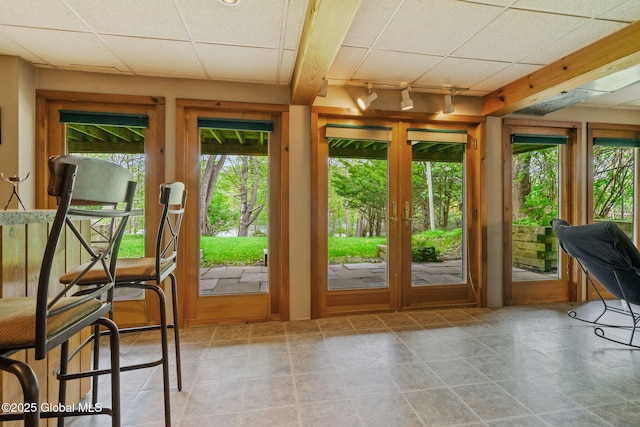 entryway featuring plenty of natural light