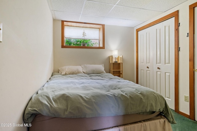 carpeted bedroom with a closet and a paneled ceiling