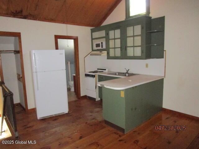 kitchen featuring freestanding refrigerator, green cabinetry, dark wood finished floors, under cabinet range hood, and a sink