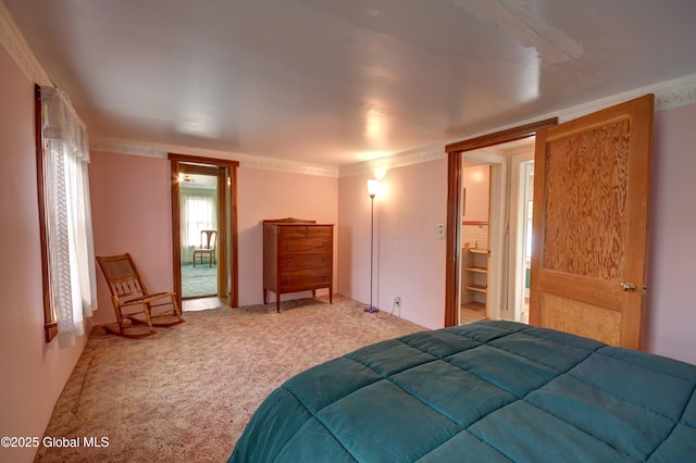 bedroom featuring carpet flooring