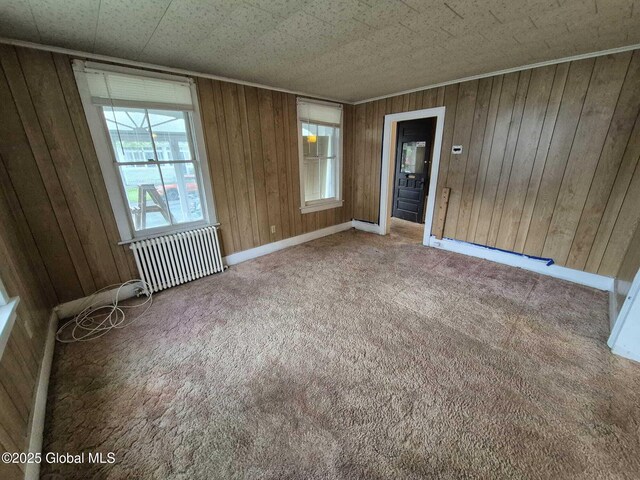 1220 5th Ave, Watervliet, NY 12189 - spare room with carpet floors and wood walls