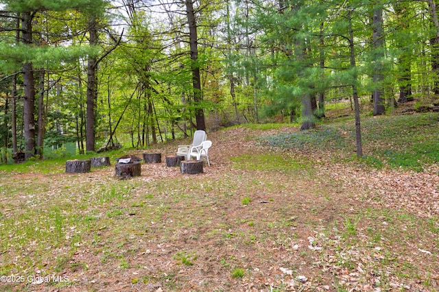 view of yard with a view of trees