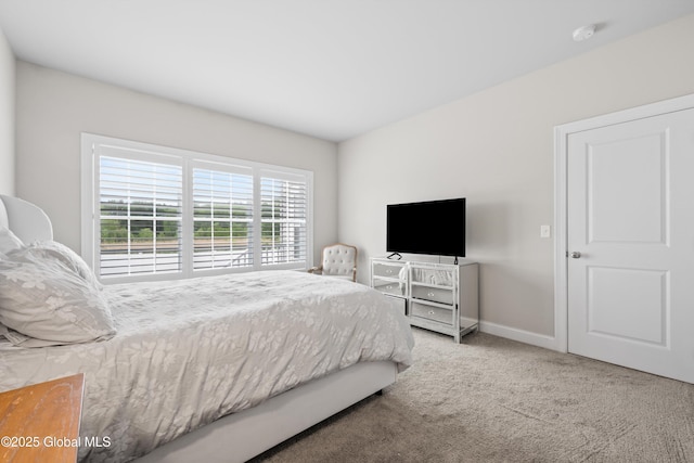 19 Pasture Pl, Ballston, NY 12019 - bedroom featuring carpet floors and baseboards