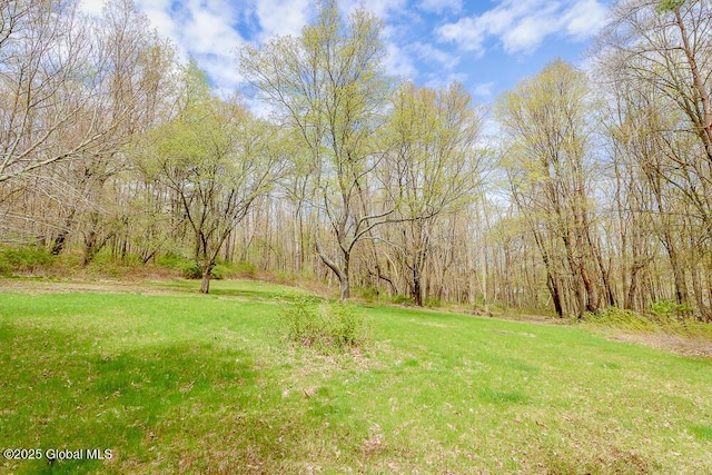 187 W St, New Lebanon, NY 12125 - photo 44