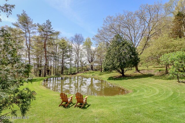 187 W St, New Lebanon, NY 12125 - photo 46