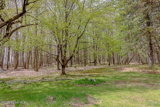 187 W St, New Lebanon, NY 12125 - photo 42