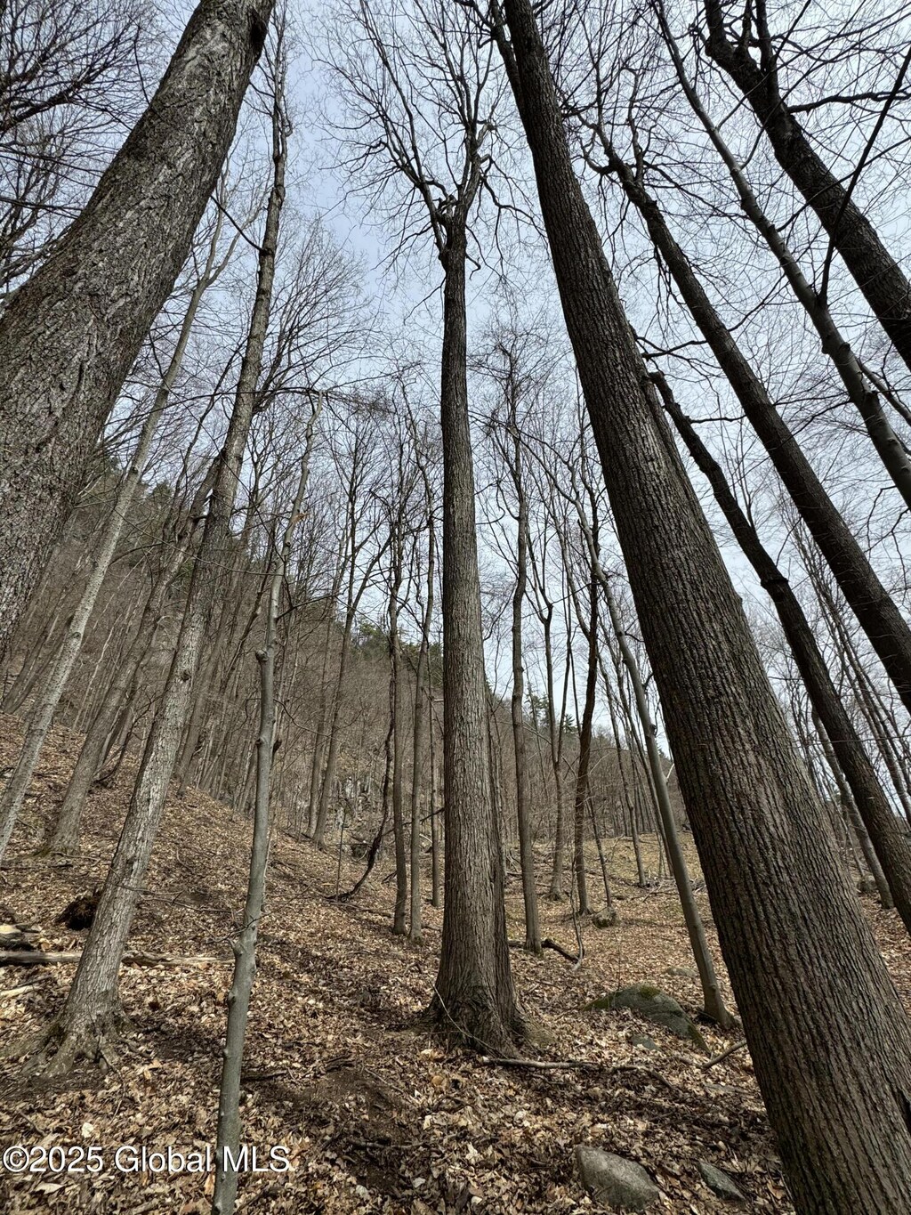 L6 Antone Mountain Rd, Corinth, NY 12822