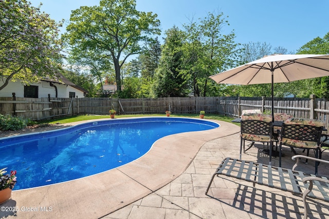 1435 Lowell Rd, Schenectady, NY 12308 - view of pool with a patio, a fenced backyard, and outdoor dining area