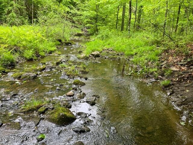 L1.12 Carlisle Rd, Root, NY 13317
