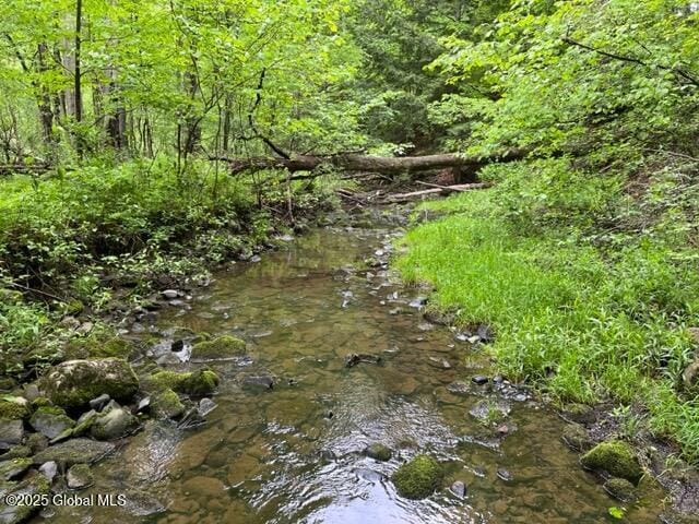 L1.12 Carlisle Rd, Root, NY 13317