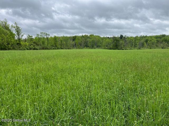L1.12 Carlisle Rd, Root, NY 13317