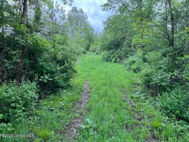 L1.12 Carlisle Rd, Root, NY 13317
