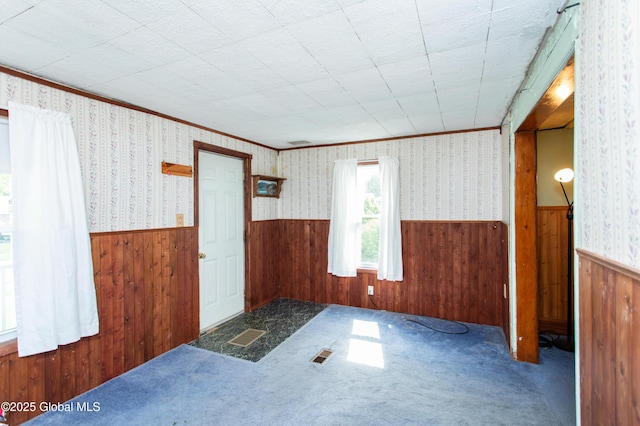 127 John St, Hudson Falls, NY 12839 - carpeted empty room with wainscoting, wooden walls, and ornamental molding