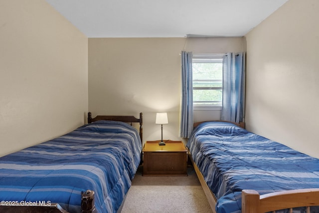 15 Oak Tree Ln, Colonie, NY 12309 - bedroom with carpet flooring