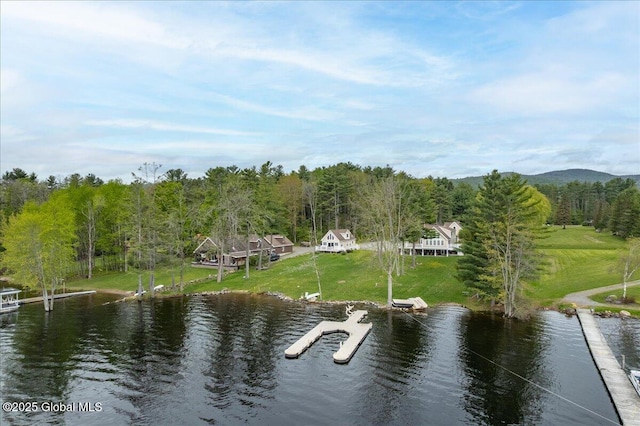 126 Lakeview Ln, Mayfield, NY 12117 - water view with a forest